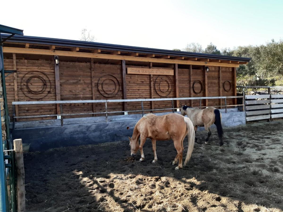 B&B Etna Ranch Piedimonte Etneo Εξωτερικό φωτογραφία