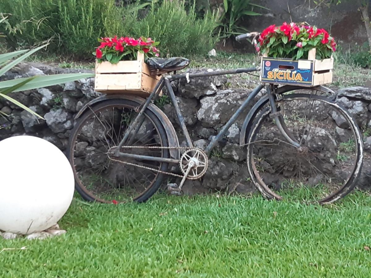 B&B Etna Ranch Piedimonte Etneo Εξωτερικό φωτογραφία