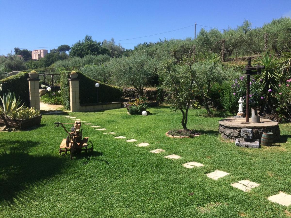 B&B Etna Ranch Piedimonte Etneo Εξωτερικό φωτογραφία