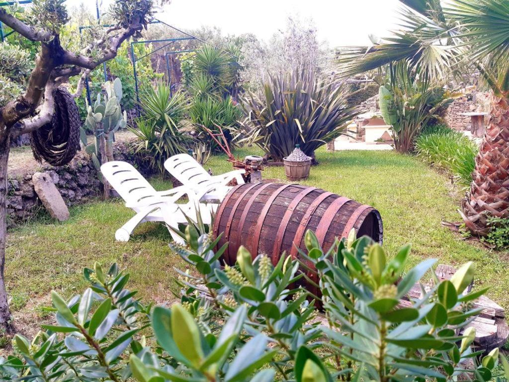 B&B Etna Ranch Piedimonte Etneo Εξωτερικό φωτογραφία