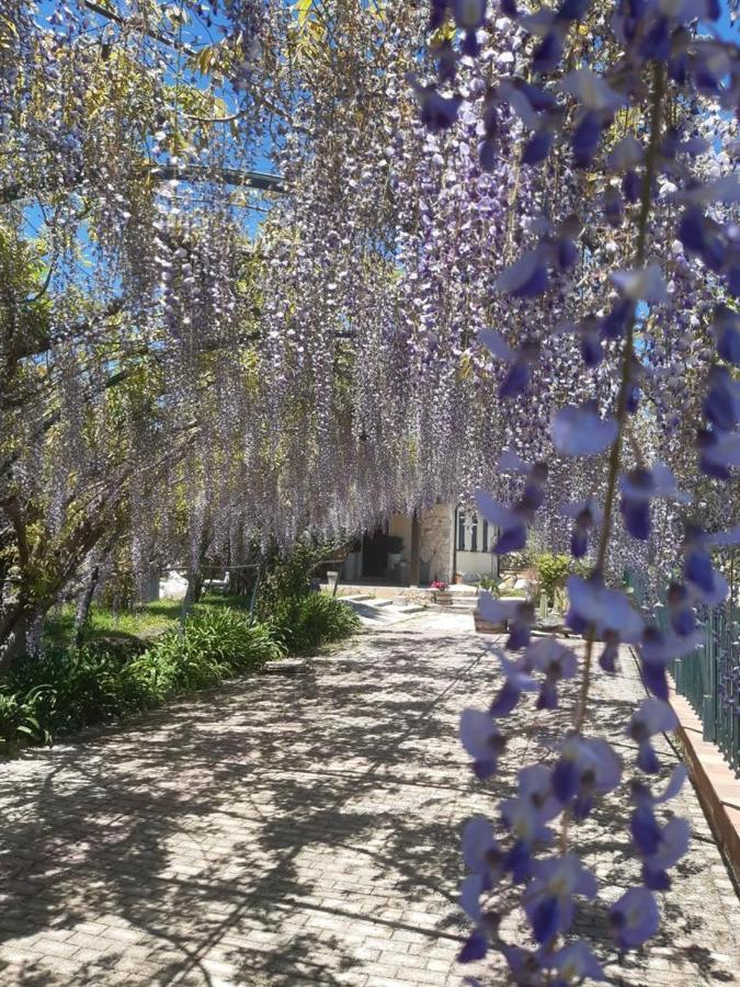 B&B Etna Ranch Piedimonte Etneo Εξωτερικό φωτογραφία