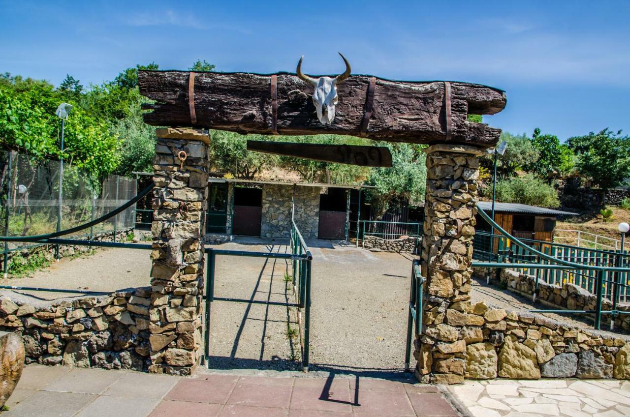 B&B Etna Ranch Piedimonte Etneo Εξωτερικό φωτογραφία