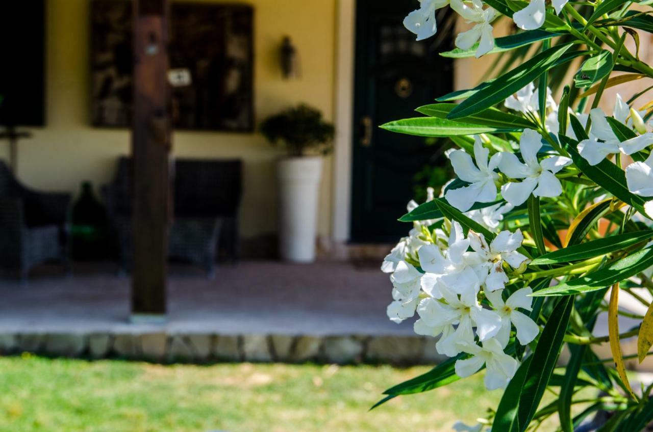 B&B Etna Ranch Piedimonte Etneo Εξωτερικό φωτογραφία